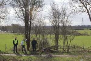 Borrowash Bottom Lock Hedge - After April 2015