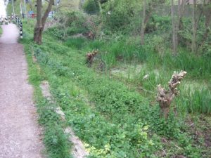 Borrowash May 2015 (2)