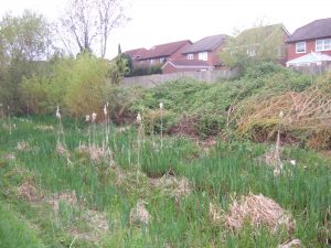 Borrowash May 2015 (1)