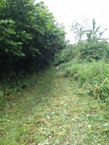 Sandiacre Lock Hunt 2015