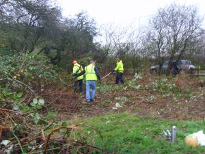 Bramble Clearing Draycott November 2015