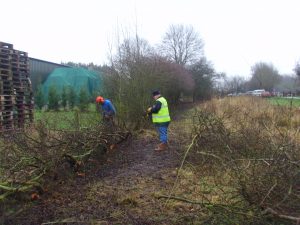 Working Party Draycott 31st Jan 2016