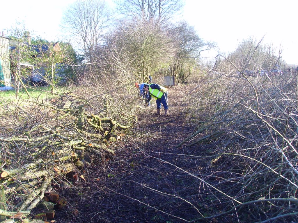 Working Party Hopwell Road 14th Feb 2016