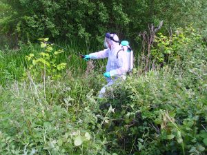 Eddy 290516 Draycott Spraying