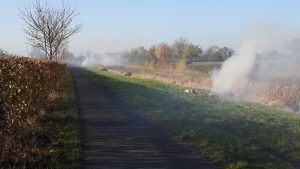 Working Party 19th Nov 2016