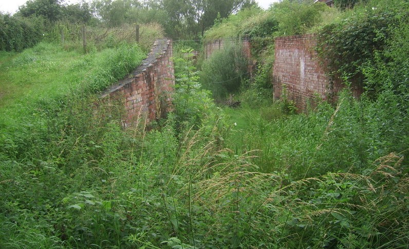 A tad overgrown; and in need of TLC