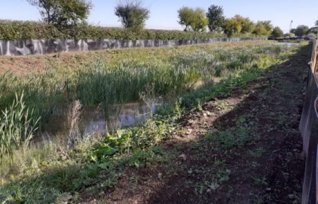 DSCT_Chairmans_update_Oct_2021_no10