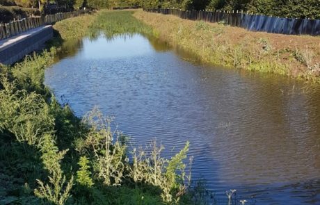 DSCT_Chairmans_update_Oct_2021_no7