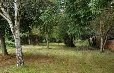 DSCT_Chairmans_update_Oct_2021_no8