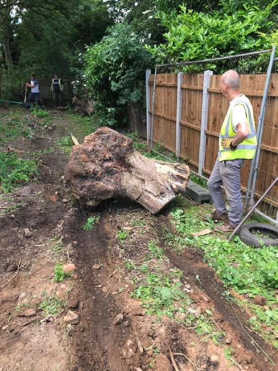 Tree_Stump_removed_Sandiacre_June_2022